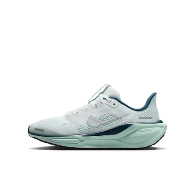 Nike Pegasus 41 FN5041-404