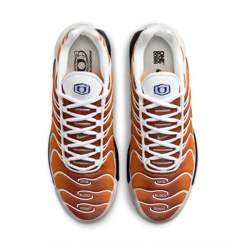Nike Air Max Plus x One Block Down FZ3308-700 04