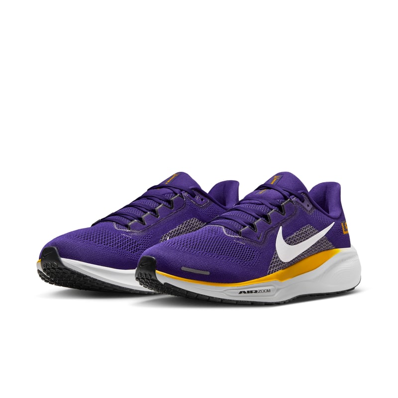 Nike Pegasus 41 IB3248-500 05