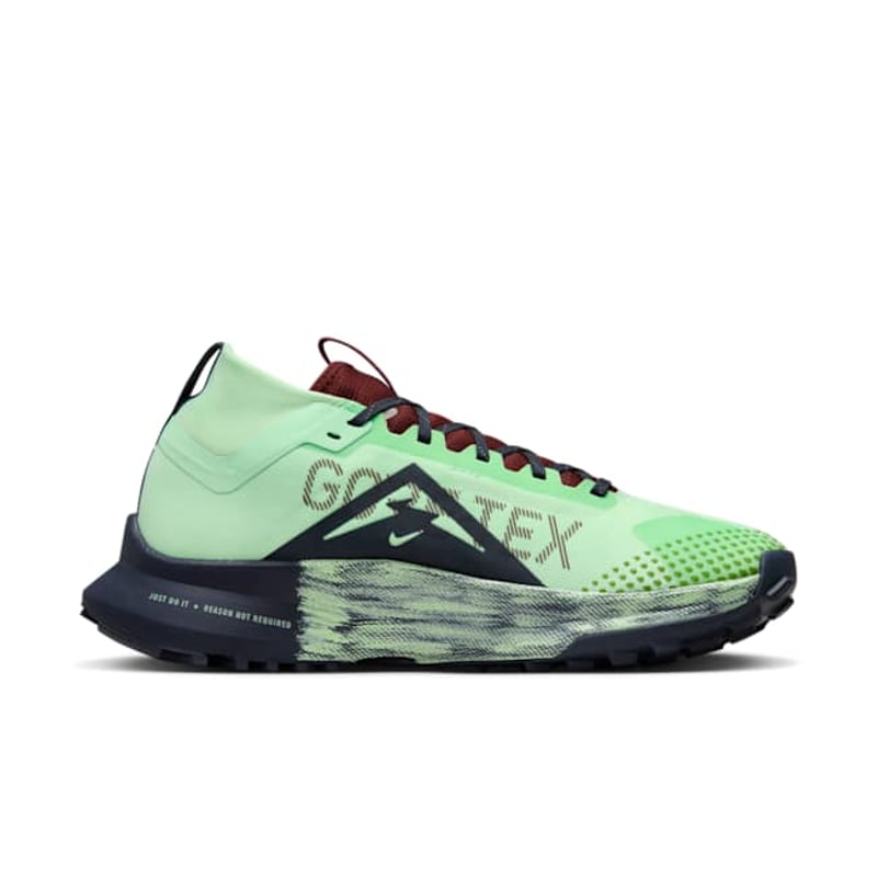 Nike Pegasus Trail 4 GORE-TEX DJ7929-303 03