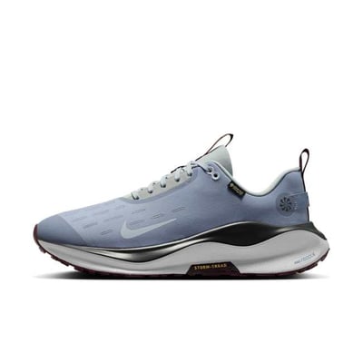 Nike InfinityRN 4 GORE-TEX HQ0265-400