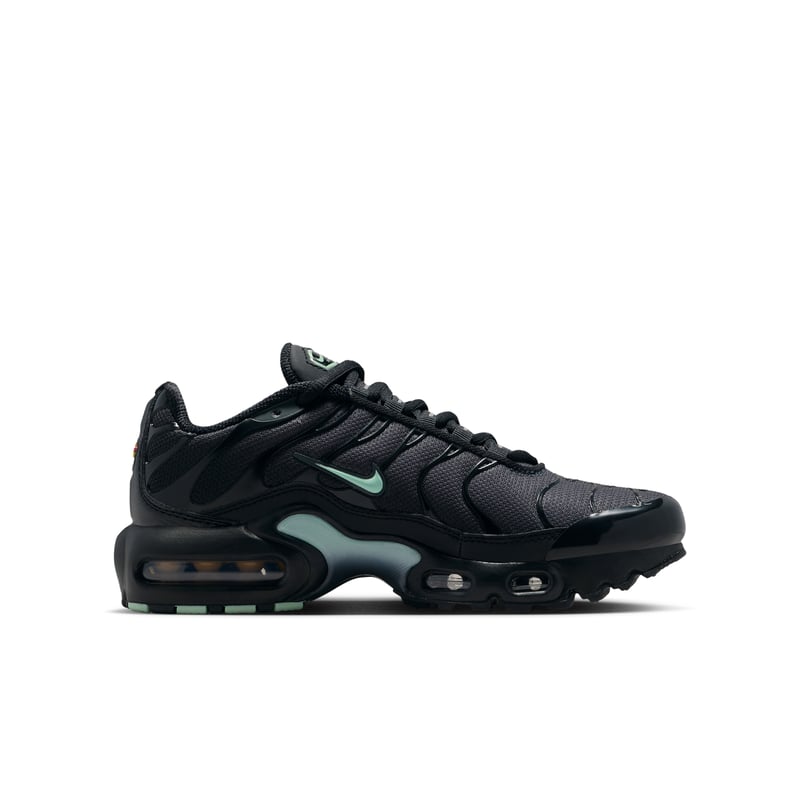 Nike Air Max Plus IF6169-010 03