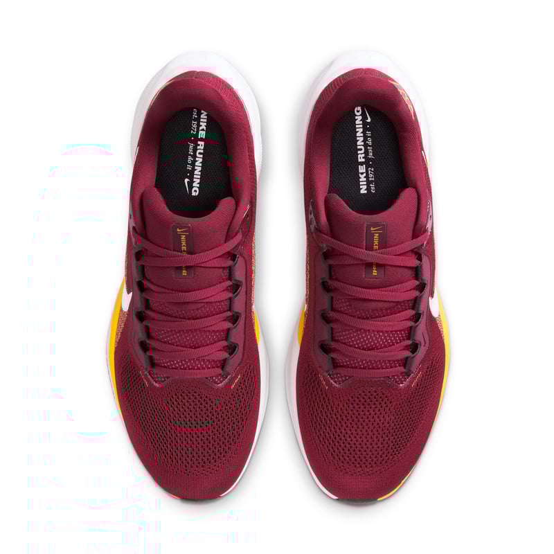 Nike Pegasus 41 x NFL IB3184-600 04