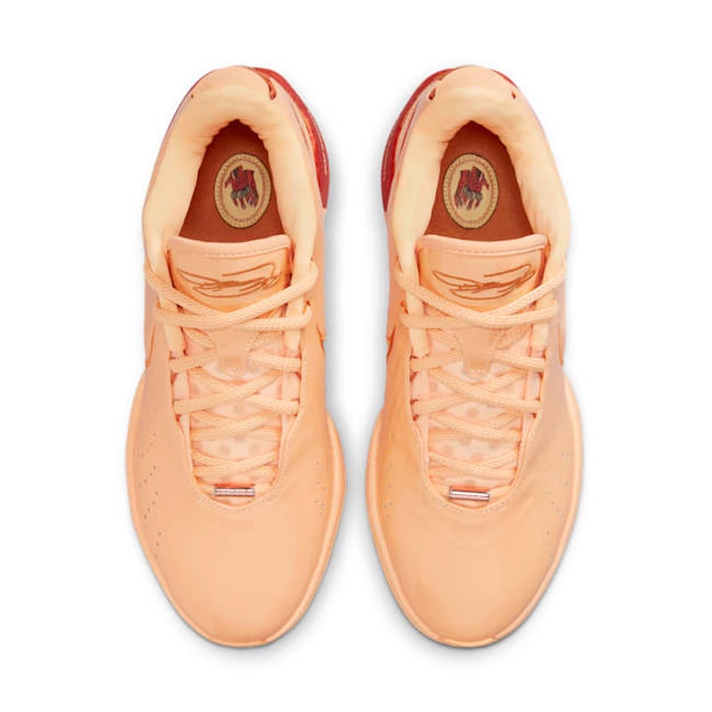 Nike LeBron 21 FV2345-800 04