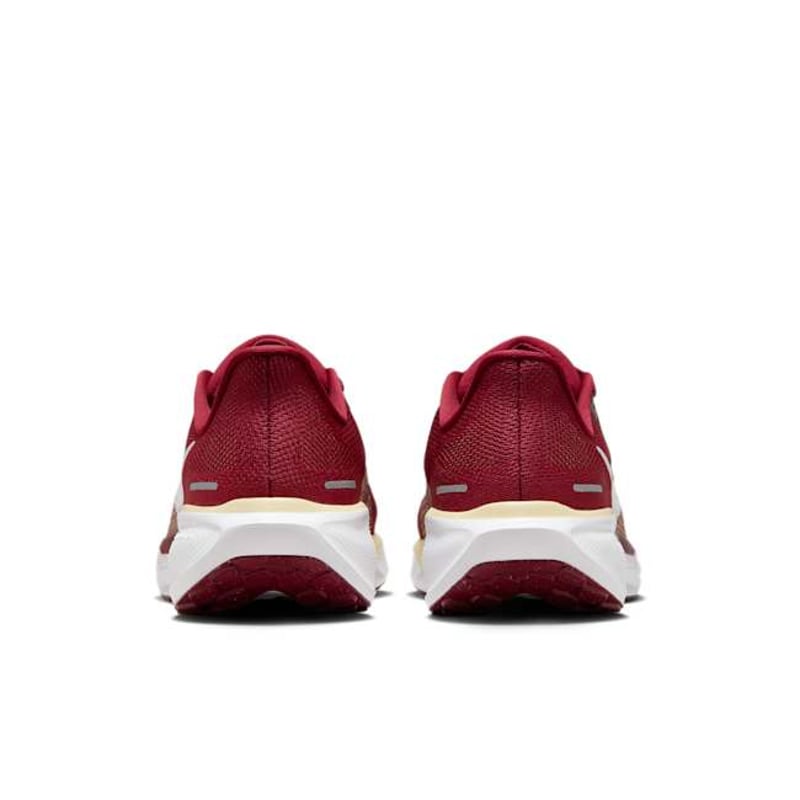 Nike Pegasus 41 FZ5114-600 06