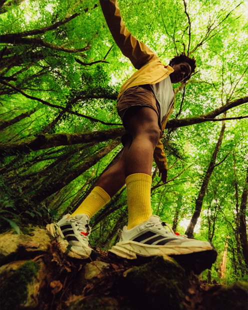 Free Hiker