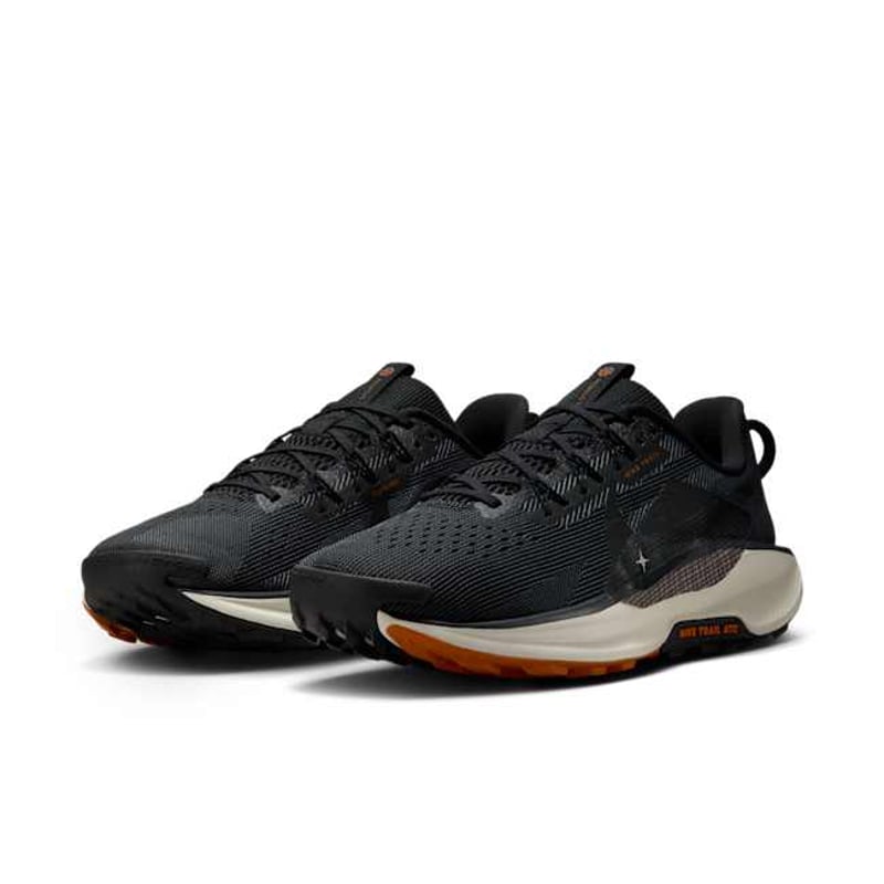 Nike Pegasus Trail 5 DV3864-006 05