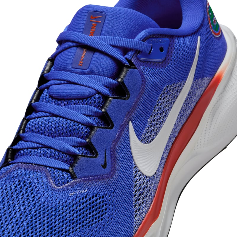 Nike Pegasus 41 IB3251-400 07