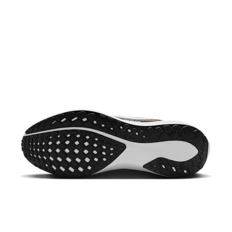 Nike Pegasus 41 FZ5109-001 02