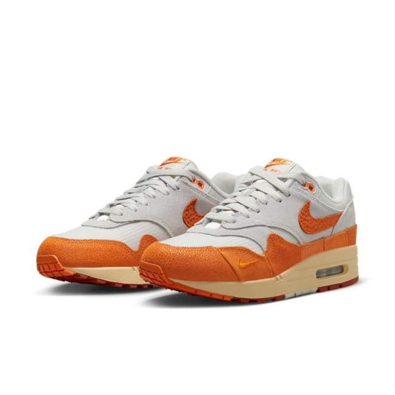 Nike Air Max 1 DZ4709-001 05