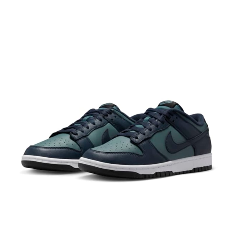 Nike Dunk Low Retro Premium DR9705-300 05