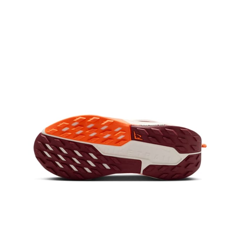 Nike Pegasus Trail 5 FV5638-601 02