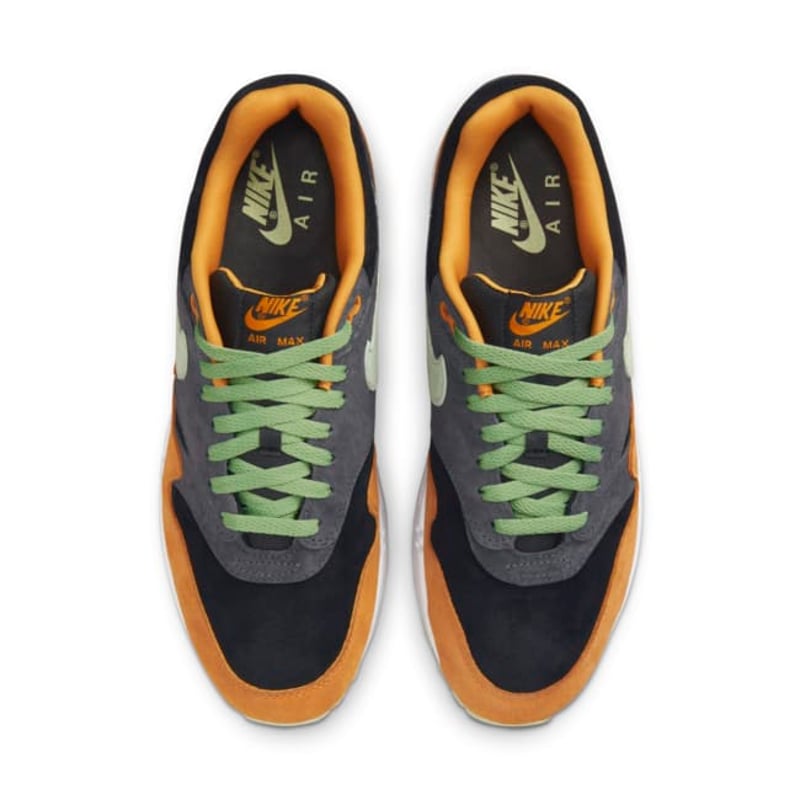 Nike Air Max 1 ‘Ugly Duckling’ DZ0482-001 04
