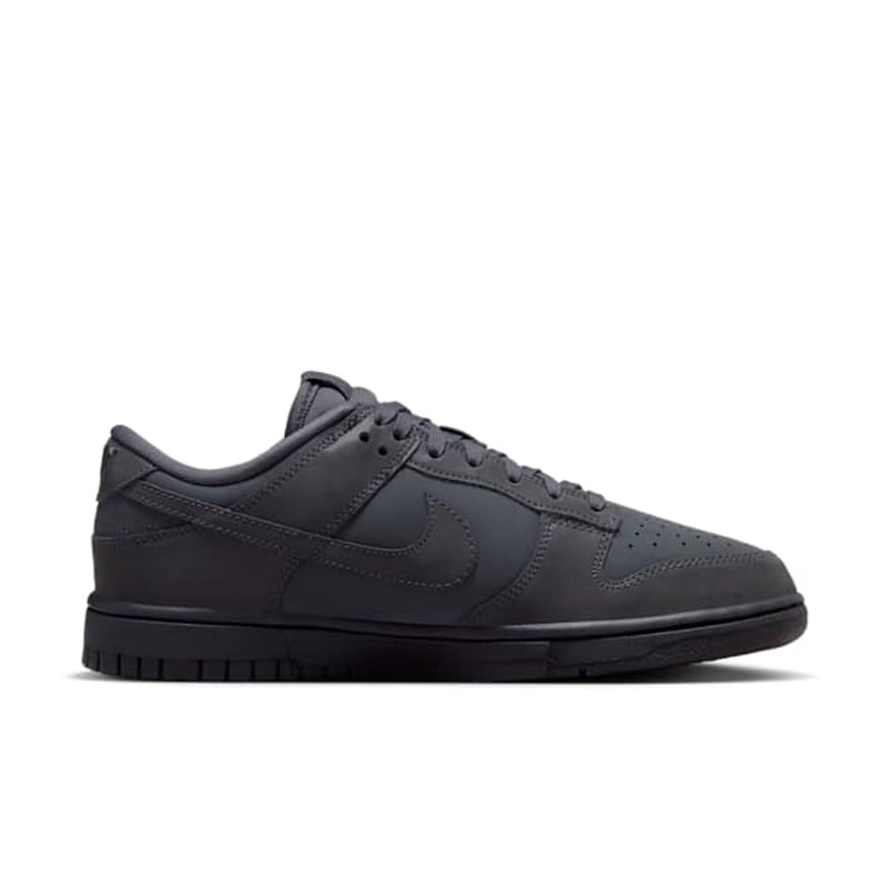 Nike Dunk Low FZ3781-060 03