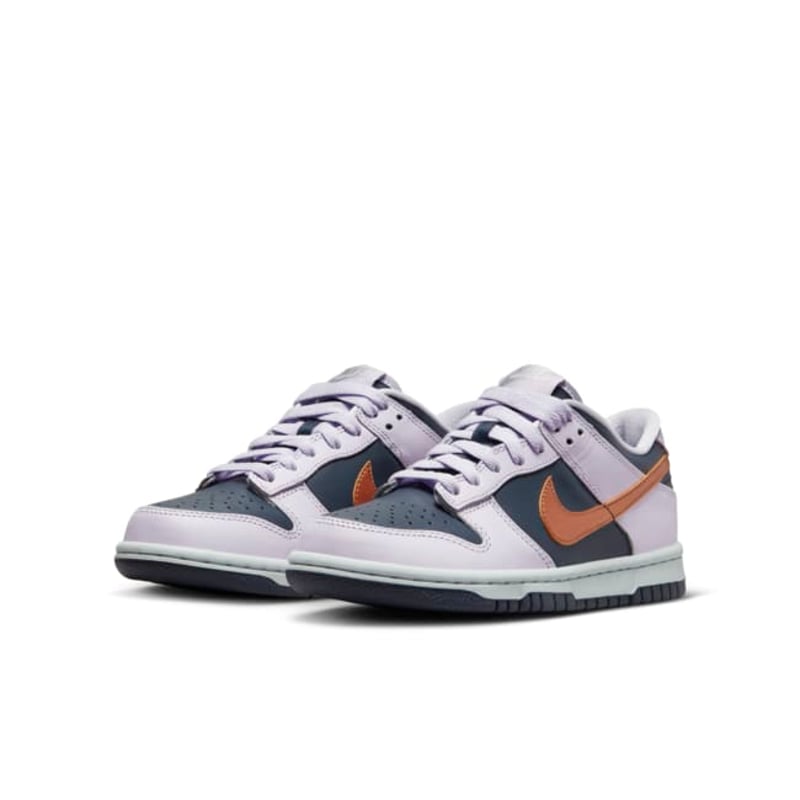 Nike Dunk Low SE DX1663-400 05