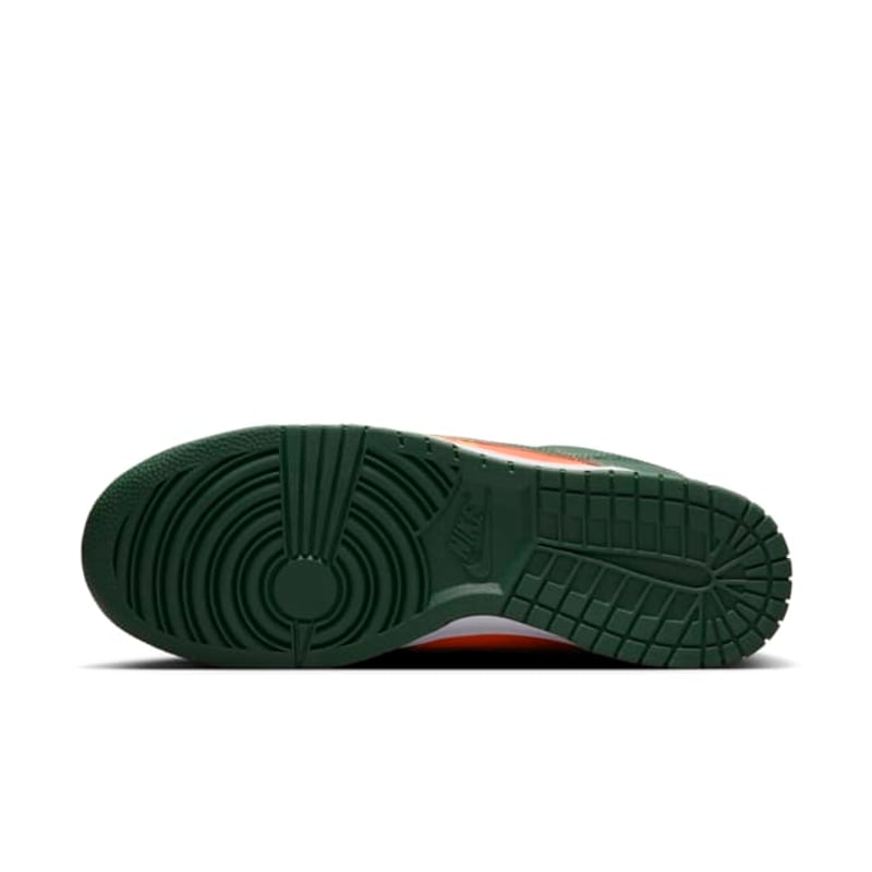 Nike Dunk Low Retro DD1391-300 02