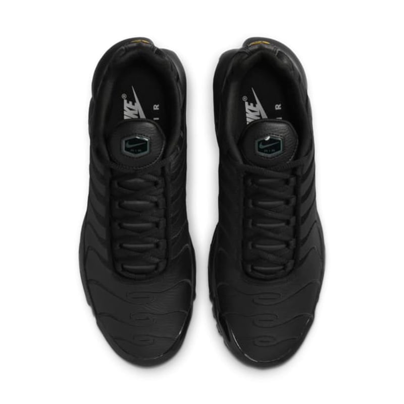 Nike Air Max Plus AJ2029-001 04