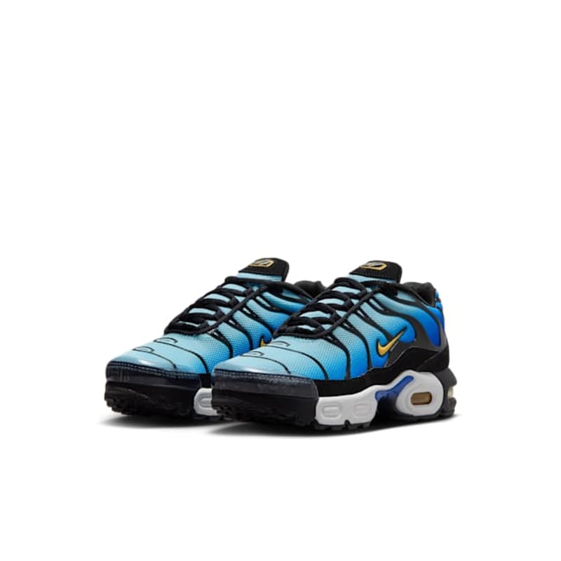 Nike Air Max Plus FZ0023-032 05