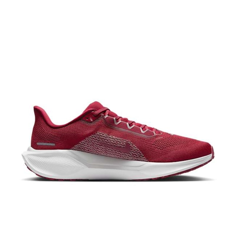 Nike Pegasus 41 FZ5103-600 03