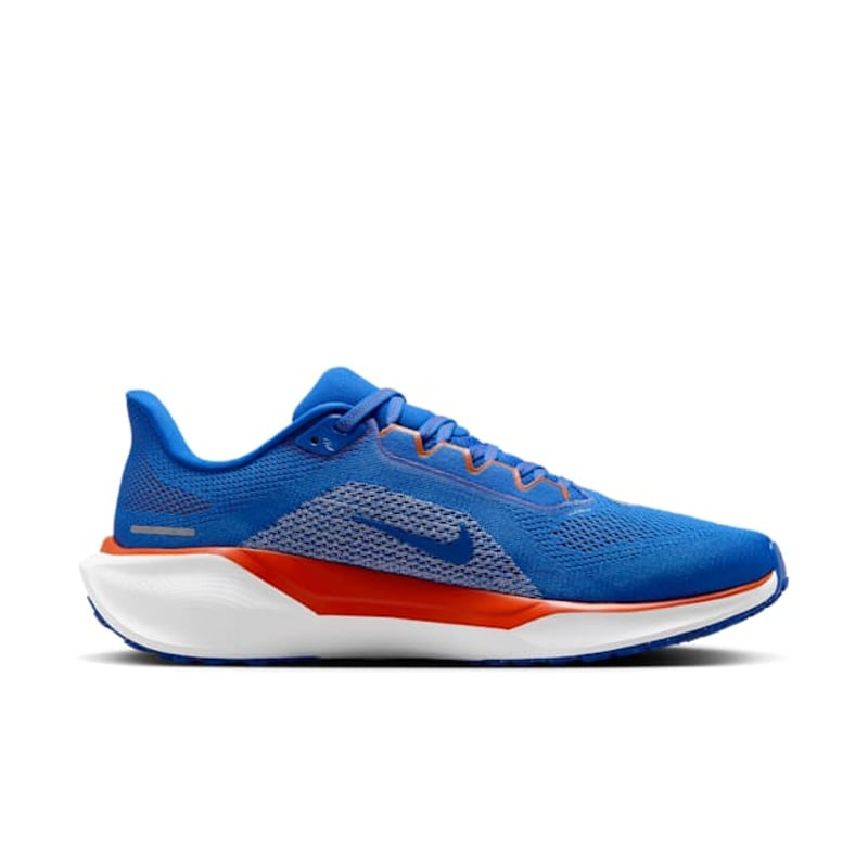 Nike Pegasus 41 FZ5113-400 03