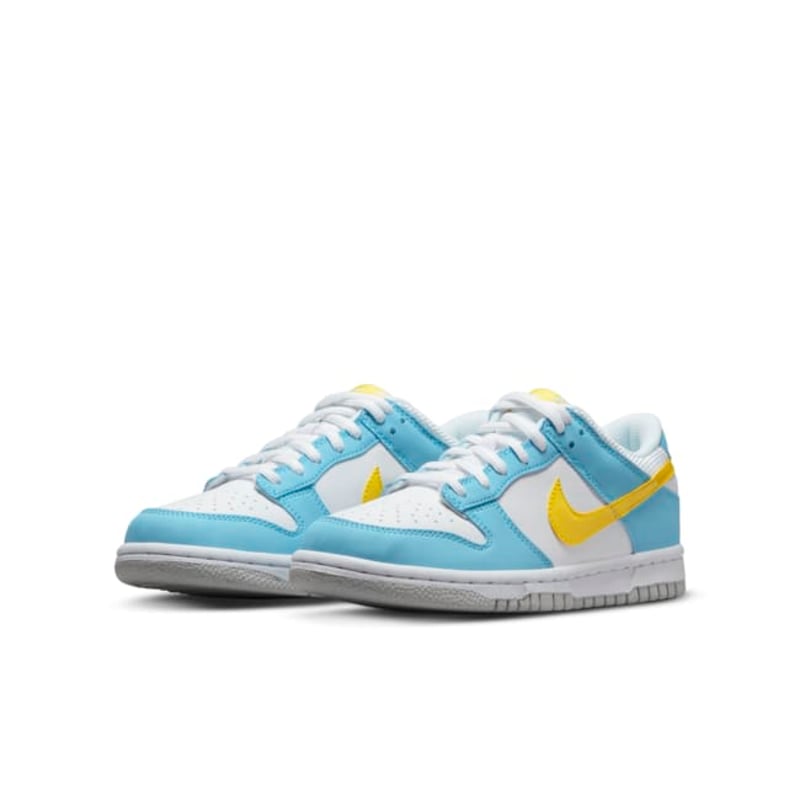 Nike Dunk Low DX3382-400 05