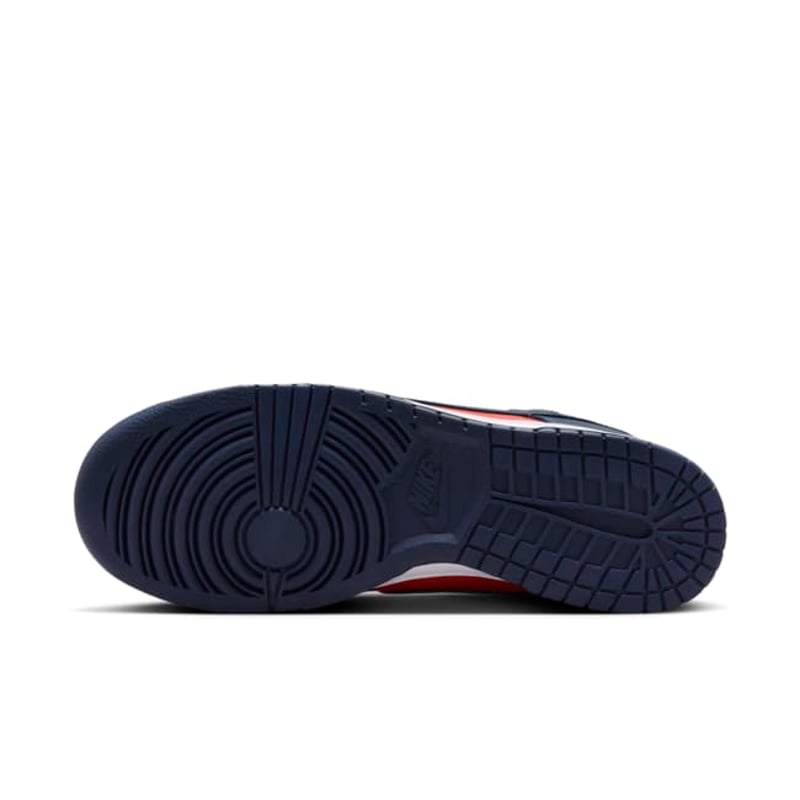 Nike Dunk Low Retro CO.JP DV0833-601 02