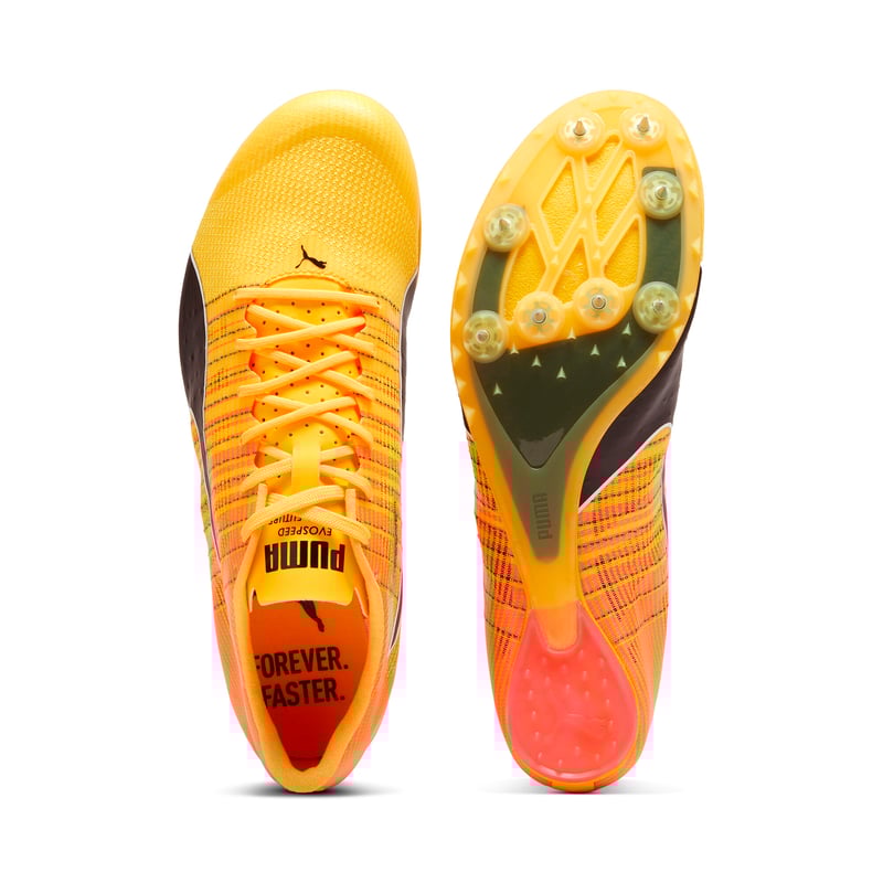 Puma evoSPEED Future 6 380023-01 02