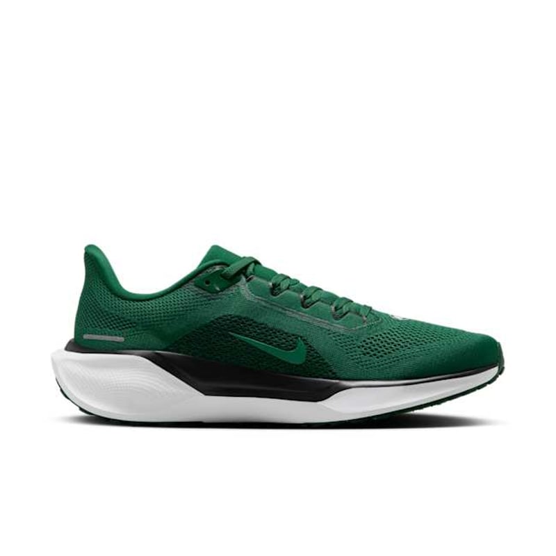 Nike Pegasus 41 x NFL FZ5089-300 03