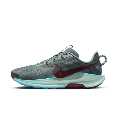Nike Pegasus Trail 5 DV3864-302