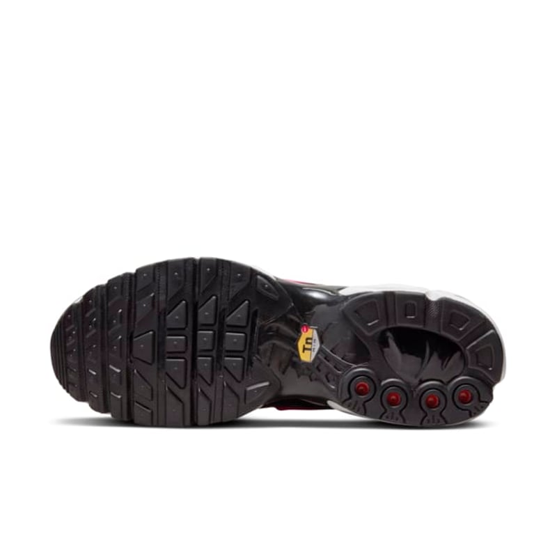 Nike Air Max Plus DZ3670-500 03
