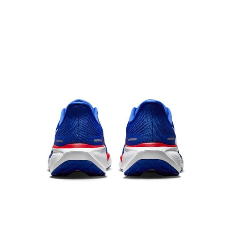 Nike Pegasus 41 FZ5146-400 06