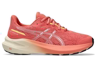 ASICS GT-1000 13 1014A343-701
