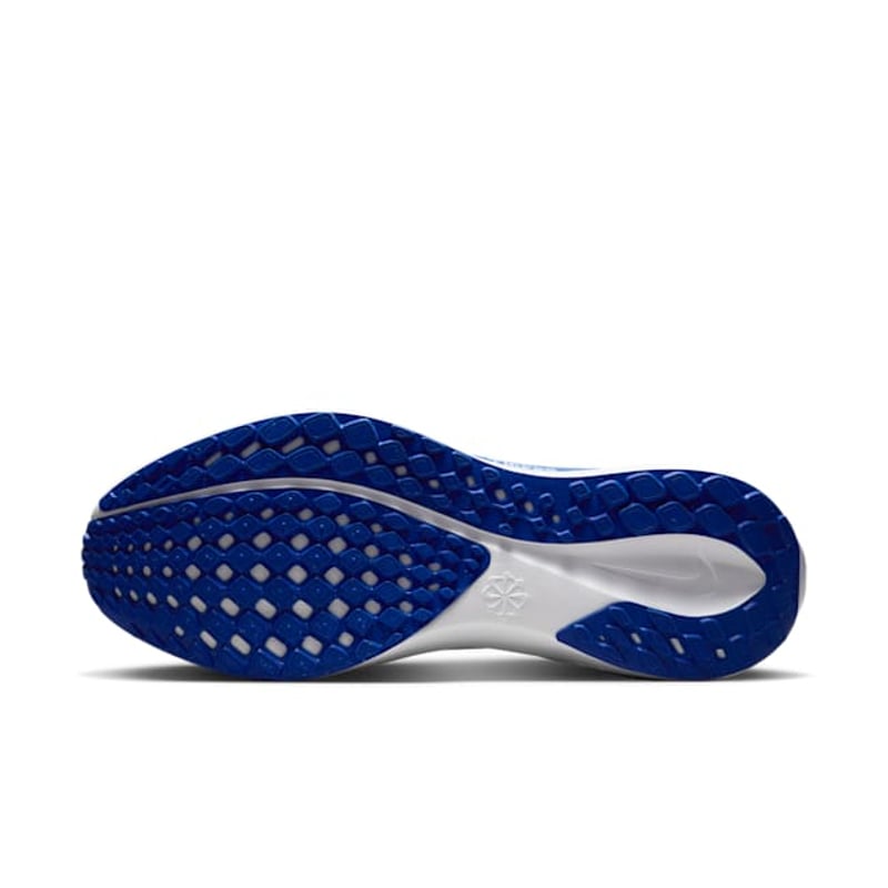 Nike Pegasus 41 FZ5146-400 02