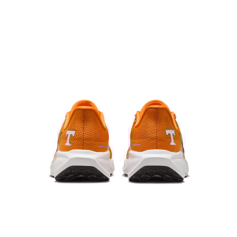 Nike Pegasus 41 IB3253-800 06