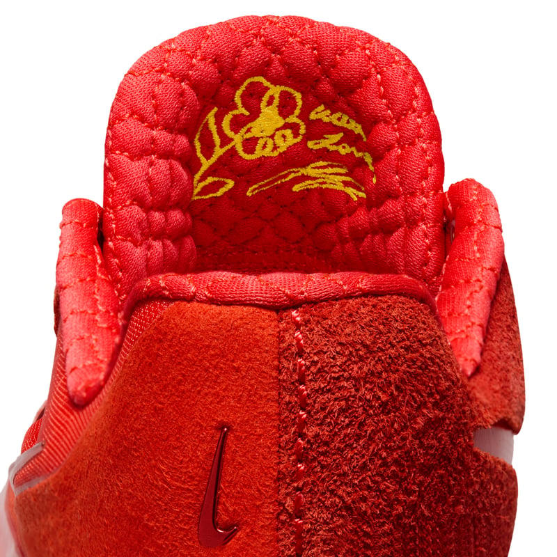 Nike LeBron NXXT Gen By JuJu IQ8495-600 09