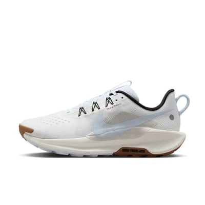 Nike Pegasus Trail 5 DV3864-103