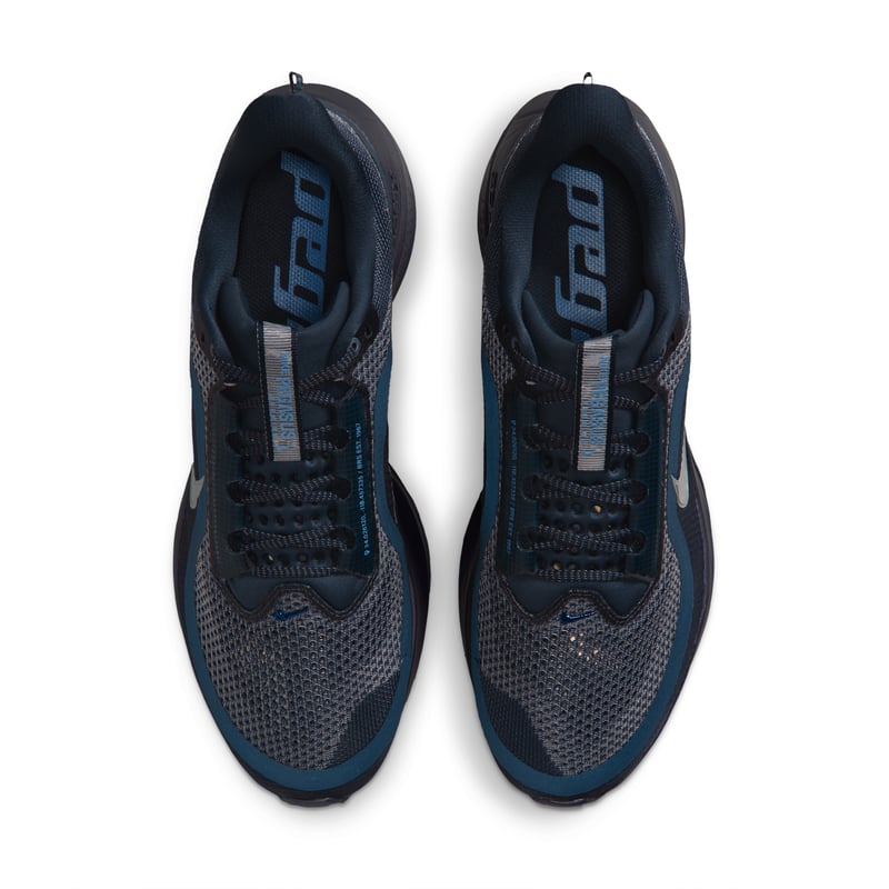 Nike Pegasus Premium HQ2592-405 04