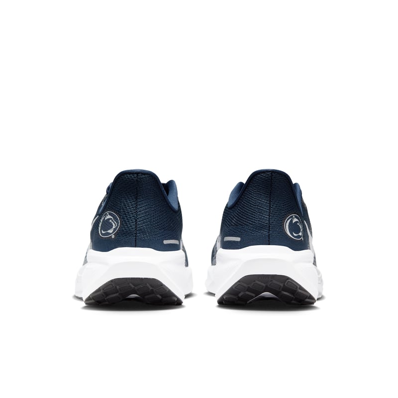 Nike Pegasus 41 IB3258-400 06