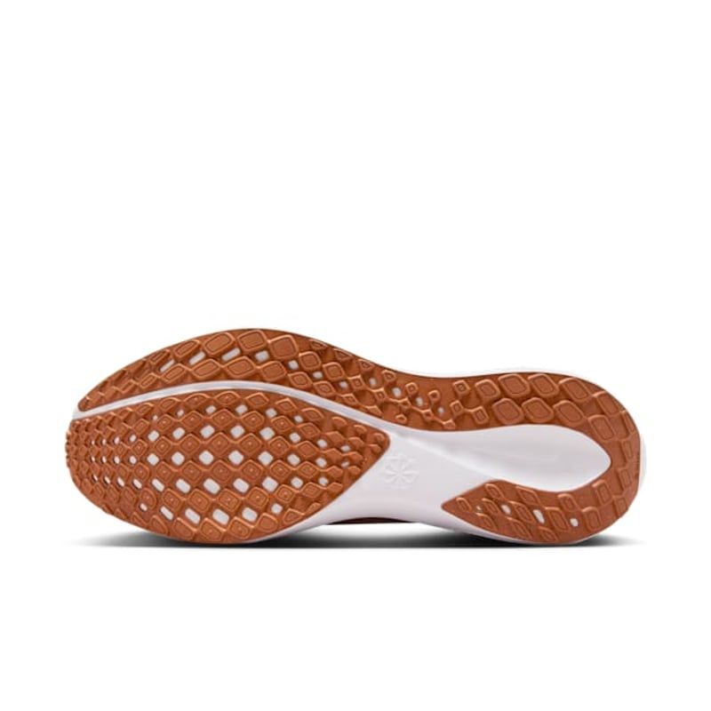 Nike Pegasus 41 FZ5145-800 02