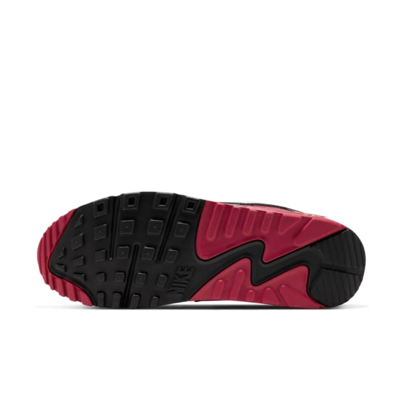 Nike Air Max 90 CT4352-104 02