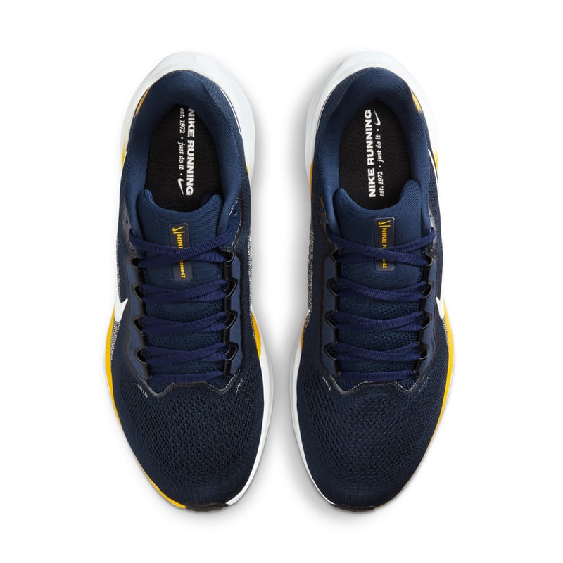 Nike Pegasus 41 IB3269-400 04
