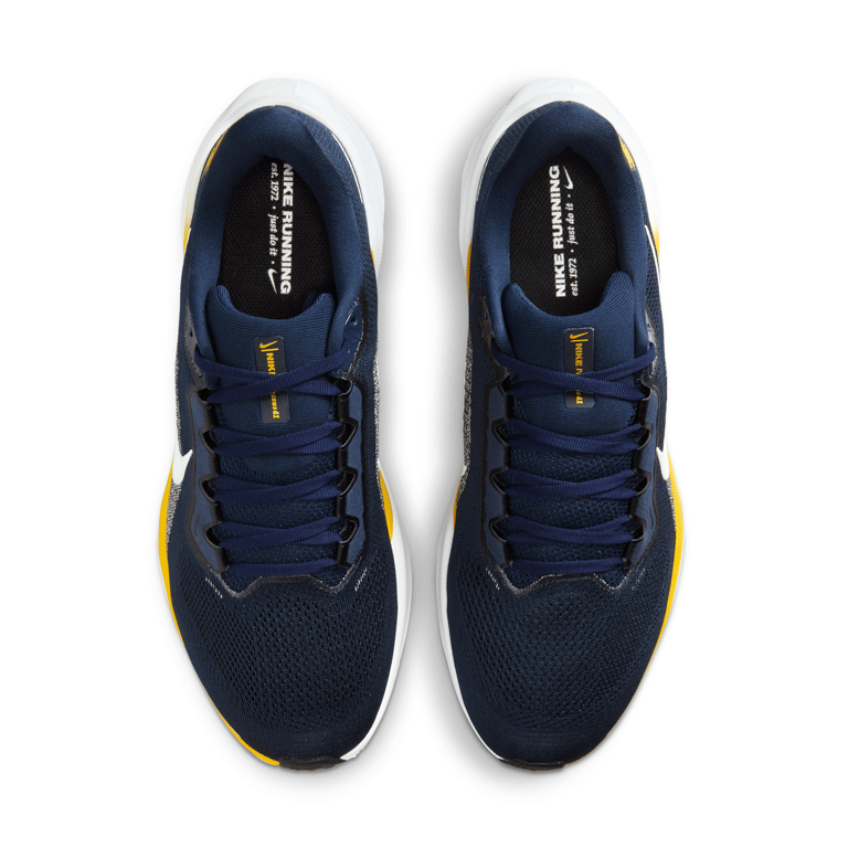 Nike Pegasus 41 IB3269-400 04
