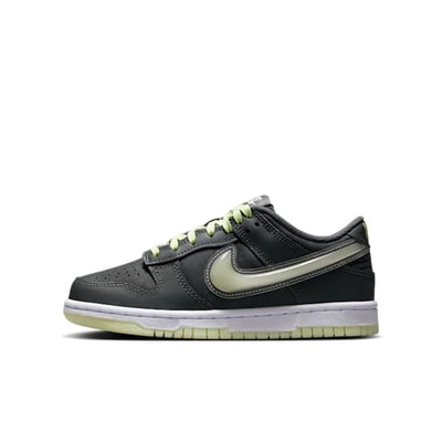 Nike Dunk Low HQ3569-068