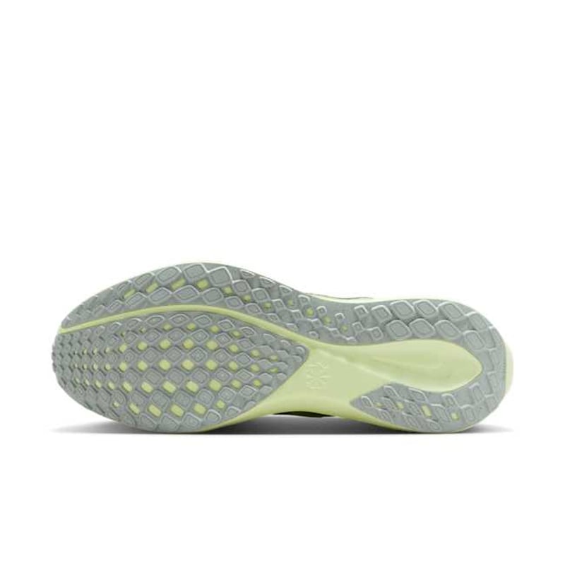 Nike Pegasus 41 FD2722-303 02