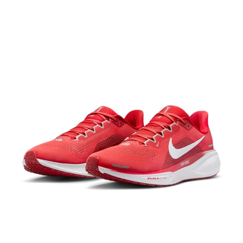 Nike Pegasus 41 FZ5135-600 05