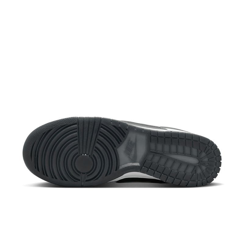 Nike Dunk Low Retro Premium FZ1670-001 02