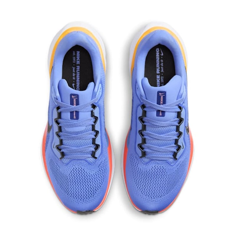 Nike Pegasus 41 FD2723-402 04