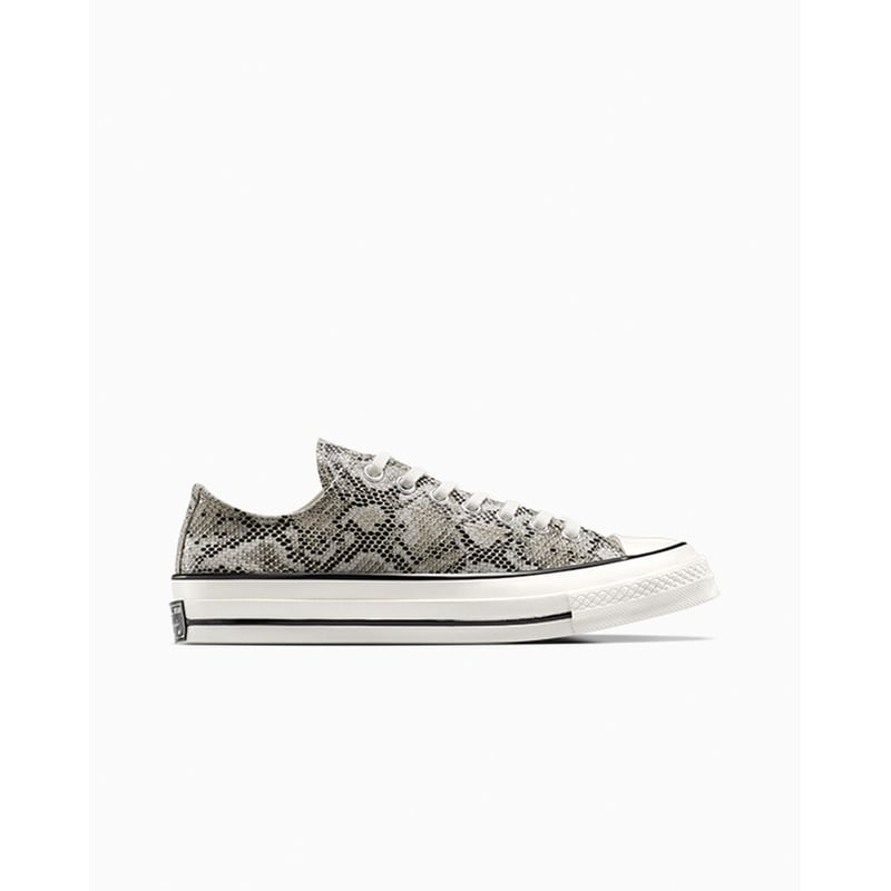 Converse Chuck 70 Low A13434C 01