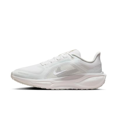 Nike Pegasus 41 GORE-TEX FQ1356-101