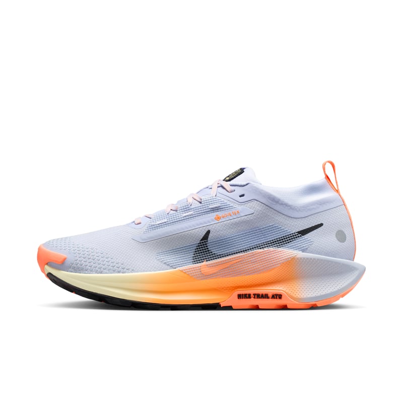 Nike Pegasus Trail 5 GORE-TEX FQ0908-011 01